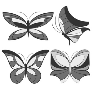 蝴蝶黑白色图片