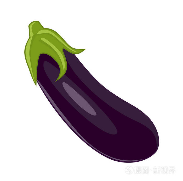 孤立的茄子矢量图