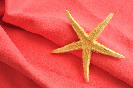 海星红滩毛巾夏季背景以上图片