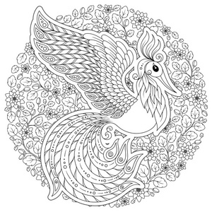 孔雀. 成人抗应激着色页面. 黑白手绘涂鸦,用于着色书照片