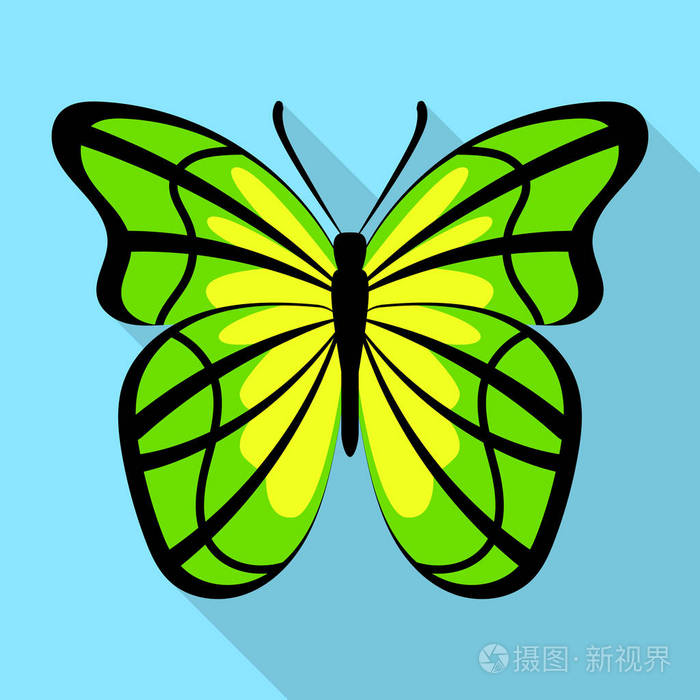 黄色绿色蝴蝶图标, 平面样式