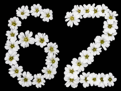 六二阿拉伯数字62,六十二,六十六二从黑色背景分离的白花中照片