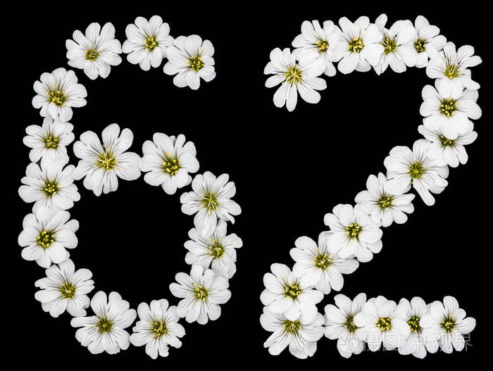 阿拉伯数字62六十二六十六二从黑色背景分离的白花中