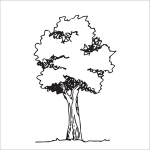 建筑师剪影树剪影, 建筑师手绘, 黑风景元素照片