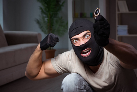 在犯罪现场戴巴拉克拉瓦面具的窃贼卡通小偷在收集不同的行为抢劫犯戴