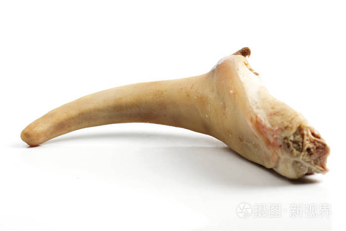 白色背景上的生猪尾巴