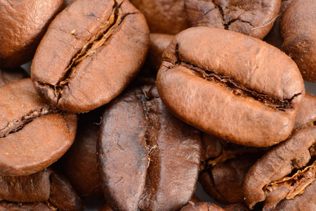 咖啡种子关闭宏观摄影照片