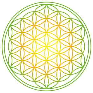 神圣的观赏鹿精神与梦想捕手的标志和羽毛和 merkaba 和生命之花生命