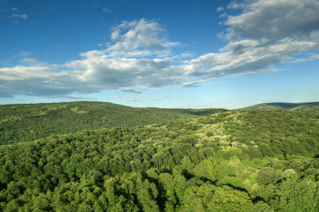 空中森林风景欧洲森林美丽的山脉景观山峰覆盖着森林
