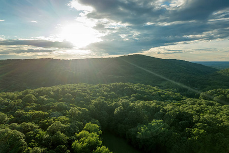 空中森林在阳光明媚的夏日从顶部. 太阳和太阳耀斑.插画