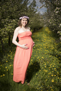 春暖花开的蒲公英中美丽的孕妇图片