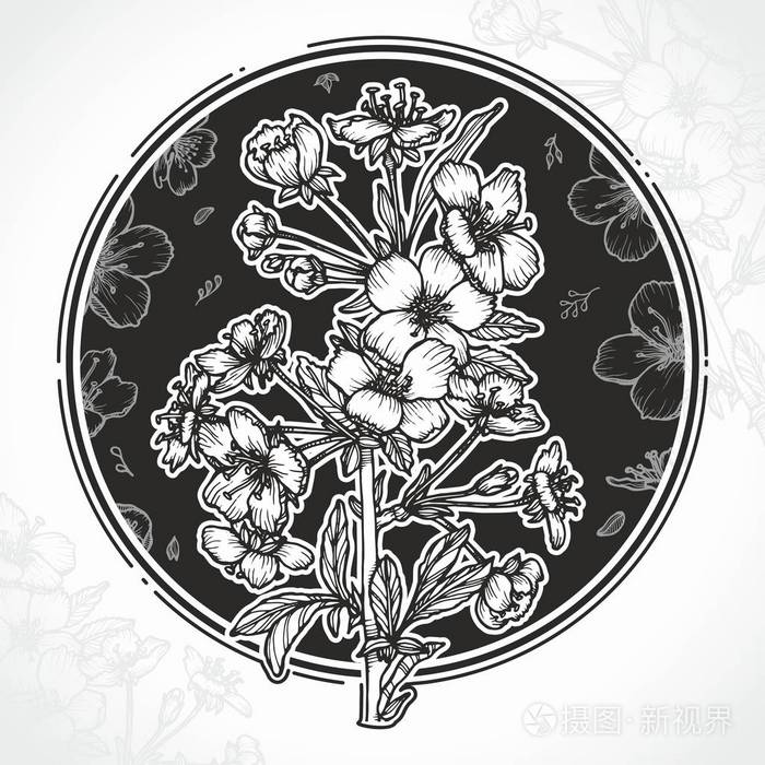 花枝和花手画插图苹果或樱桃树的春天花黑白相间股票向量