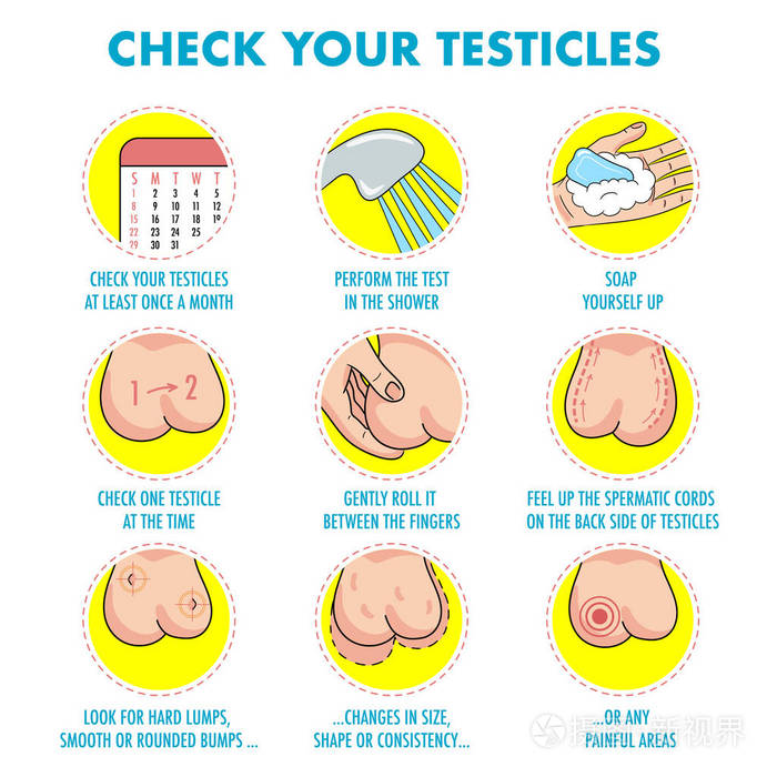 睾丸癌症状和月检信息图表. 矢量图标集.