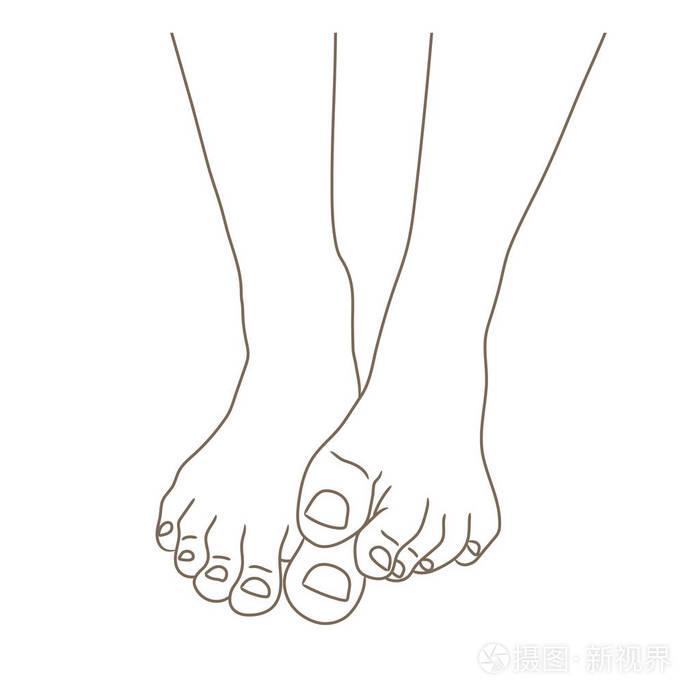 女性脚赤脚前视 一只脚躺在另一只脚上 健康的脚趾甲 矢量插图手绘卡通风格孤立在白色上 插画 正版商用图片1s2bd8 摄图新视界 女性脚赤脚前视 一只脚躺在另一只脚上 健康的脚趾甲 矢量插图手绘卡通风格孤立在白色上 插画 正版商用图片1s2bd8 摄图新视界