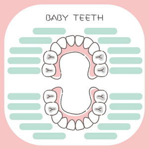 inforgraph白色背景上可爱的卡通宝宝牙照片