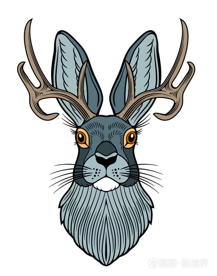 一只老式兔子的肖像