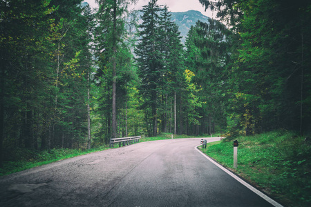 美丽的山路,背景是树木,森林和山脉. 在意大利白云石山的国道上.照片