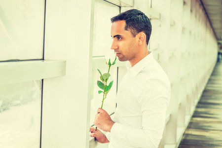 年轻的西班牙裔美国人想念你,想着你,穿着白色衬衫,拿着白色玫瑰,站在