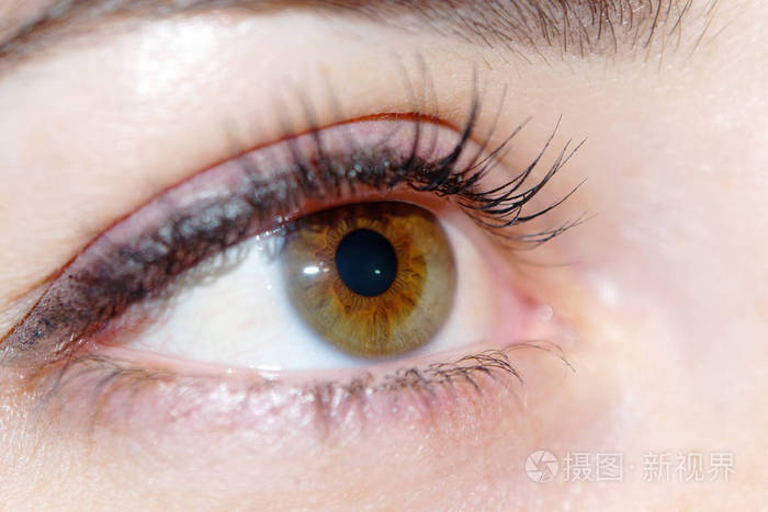棕色眼睛的女人近距离拍摄瞳孔虹膜和睫毛