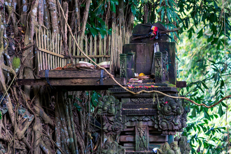 神圣的礼物神圣的祭坛,为巴厘神的礼物,由印度尼西亚圣榕树的藤本缠绕
