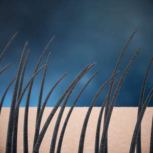 头发与皮肤在微观特写视图之下照片