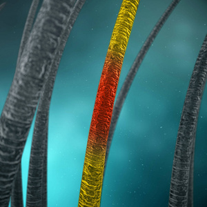 头发与微观特写视图照片