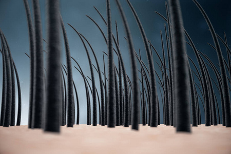 头发与皮肤在微观特写视图之下照片