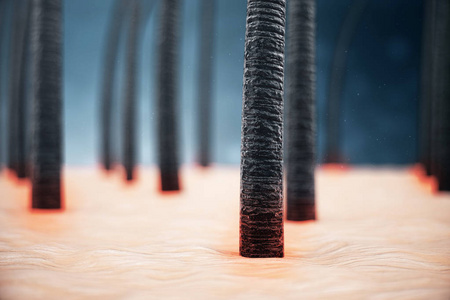 头发与微观特写视图照片