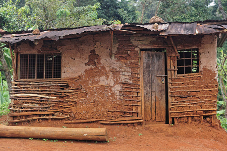 东非丛林中的泥屋小屋图片