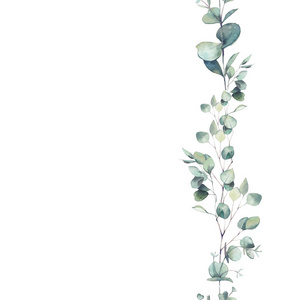 蓝桉图片-蓝桉素材-蓝桉插画-摄图新视界