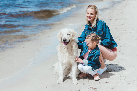 一家人和金毛猎犬一起坐在海边图片