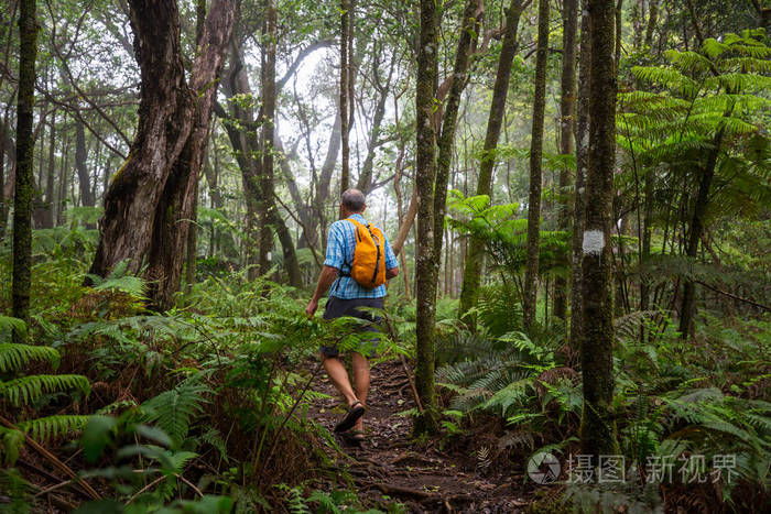 美国夏威夷绿色丛林徒步旅行者