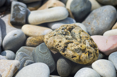 五颜六色的卵石石头图片