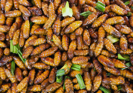 油炸食物图片-油炸食物素材-油炸食物插画-摄图新视界
