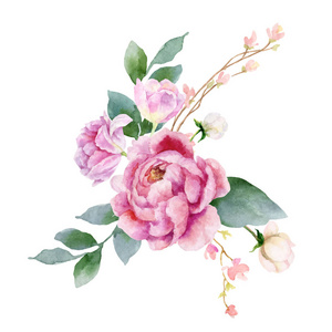 手绘牡丹花插画-手绘牡丹花手绘-手绘牡丹花卡通图-摄图新视界