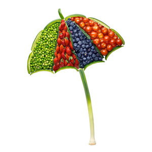 伞水果创意概念照片由水果和蔬菜制成的雨伞的创意概念照片.摄影图