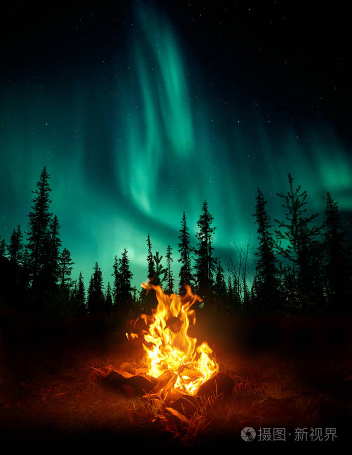 一场温暖舒适的篝火在荒野中,森林树木在背景中剪影,星星和北极光