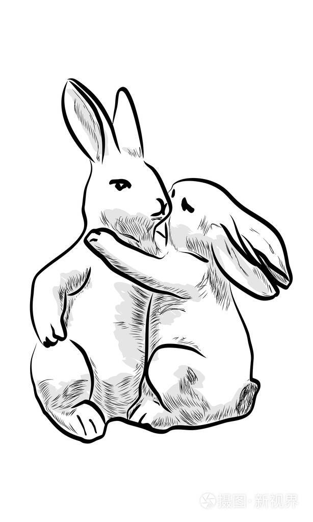 兔子矢量插图轮廓形状插画-正版商用图片1s59t6-摄图新视界