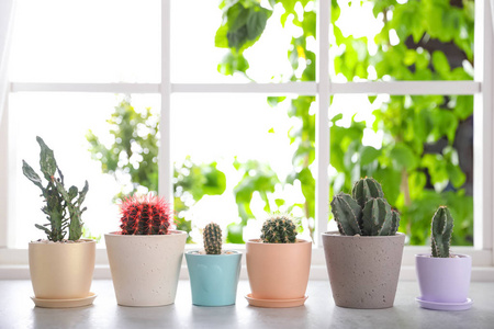 仙人掌植物在行图片