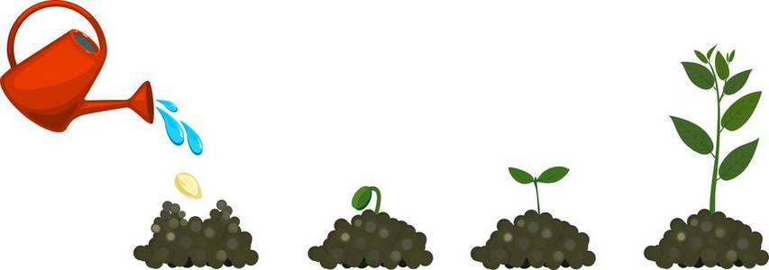 植物的生命周期. 从种子到树的植物. 种植和浇水植物插画