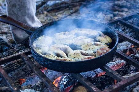 在篝火上烤制鱼在野营篝火上烤鱼照片