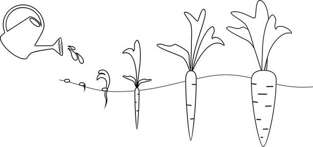 胡萝卜生长图片卡通图片
