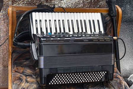 自然背景下的电动手风琴照片