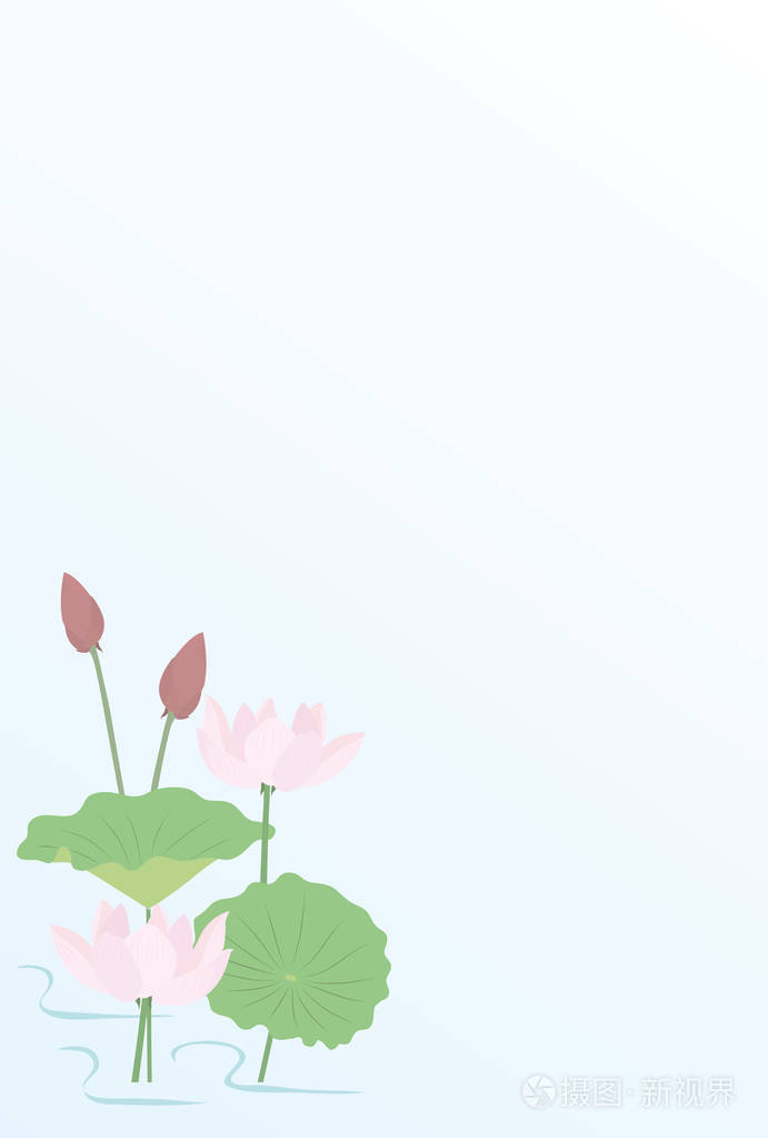 荷花背景插画.