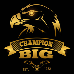 金鹰标志设计照片