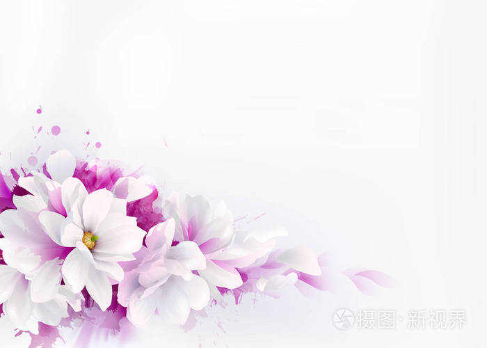 插图白色美丽的木兰春天优雅的花描绘在水彩背景上。