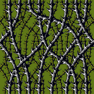 黑刺树枝与荆棘时尚无尽的插图.