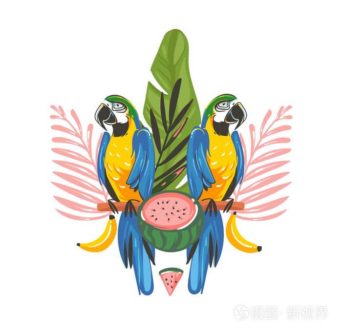 手绘矢量抽象卡通夏季时间图形插图艺术与热带雨林鹦鹉金刚雀鸟, 西瓜