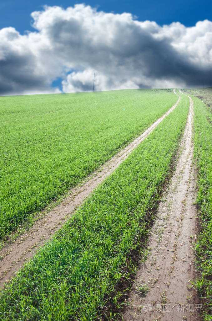 山谷中有小麦干草的绿田