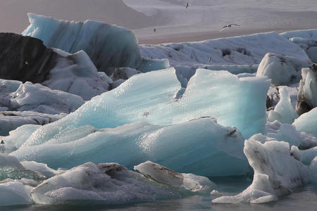旅游业 寒冷的 冰岛 假日 冰川 冰山 旅行 美丽的 天空